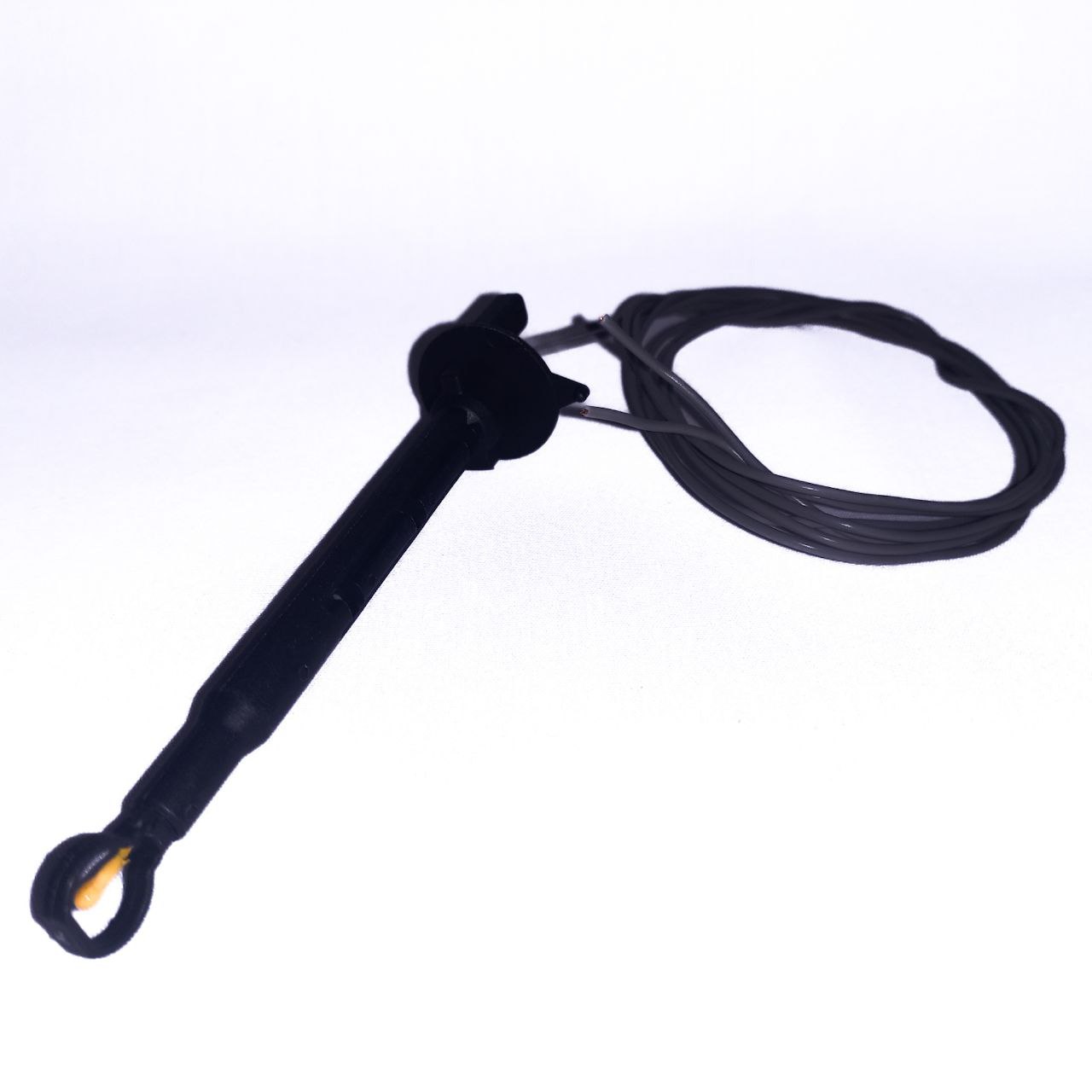 Capteur température Stepway-Symbol -Clio4